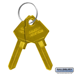 Salsbury 2299 Key Blanks For Standard Locks Of Aluminum Mailboxes Box Of (50)