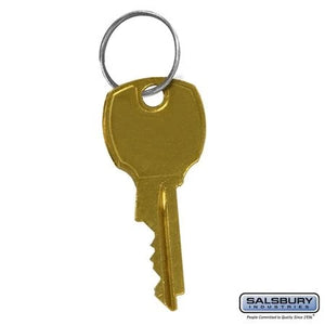 Salsbury 3398 Additional Key - for Cluster Box Unit Standard Lock